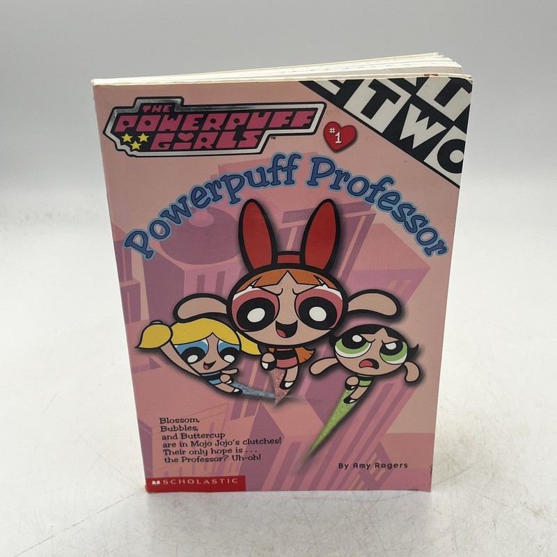 The Powerpuff Girls Book #1 Amy Rogers Paperback VTG 2000 Cartoon Network Y2K