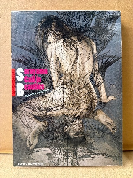 Hajime Sorayama Call in Beauties BSS Postcard Book 1997 First Ed Used Rare