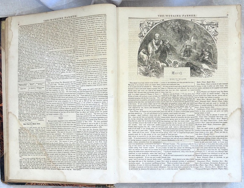 1856 RARE FIND BOUND VOL THE WORKING FARM AGRICULTURE GARDENING 382 Pages