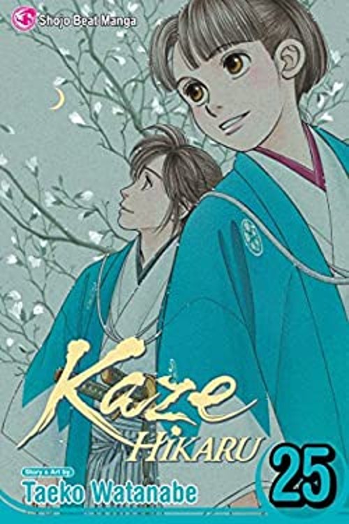 Kaze Hikaru, Vol. 25 Paperback Taeko Watanabe