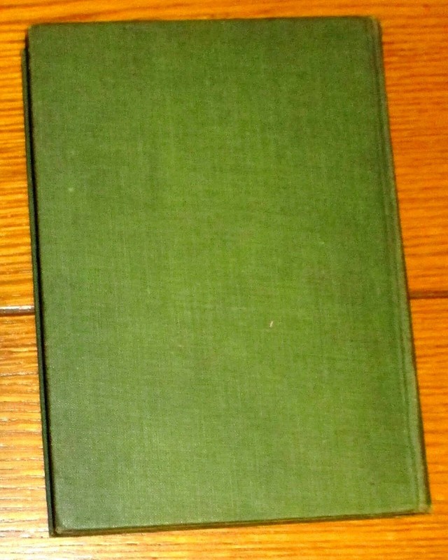 A First Family Of Tasajara "The Queen Of The Pirate Isle" 1891 H/C 344 Pages gallery