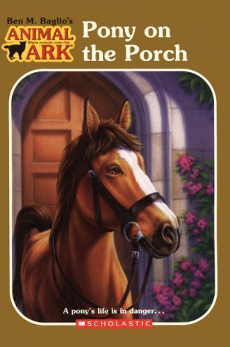 Pony on the Porch (Animal Ark Series #2)