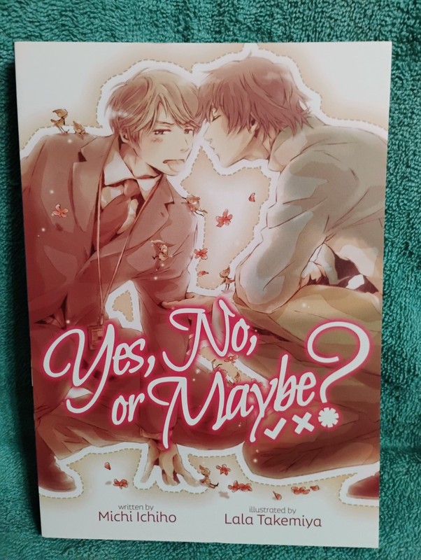 *NEW* (SevenSeas) Yes, No, or Maybe? by Michi Ichiho (BL Light Novel ENG)