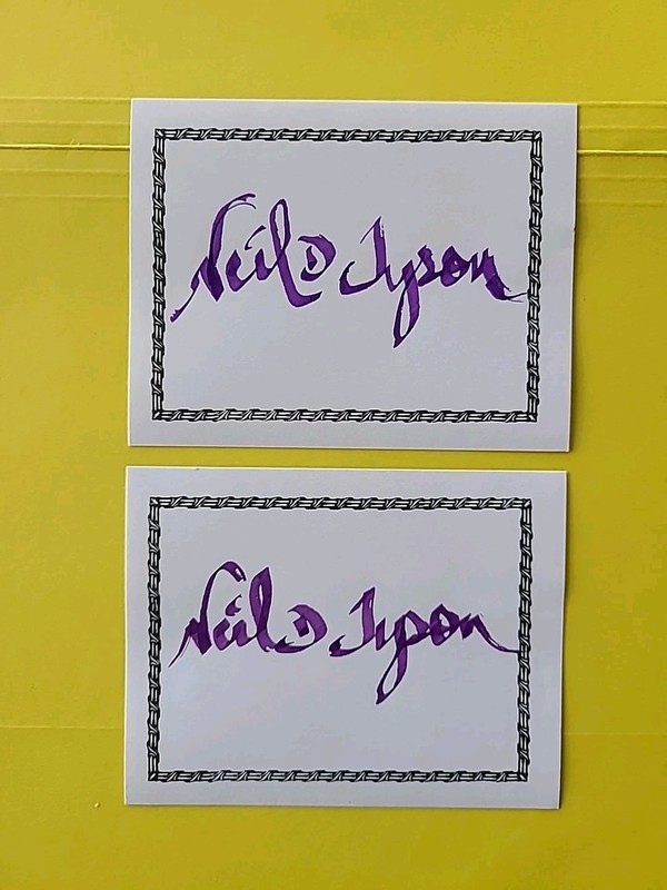 Neil deGrasse Tyson Hand Signed, Autographed Bookplate ,No Inscription.