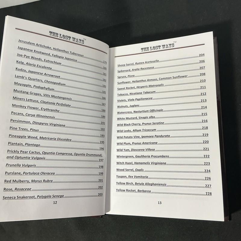 The Lost Ways (HardCover special edition) gallery
