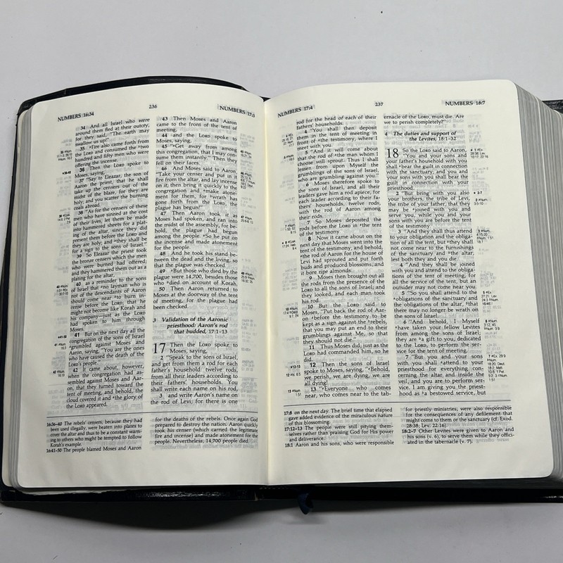 NASB Ryrie Study Bible 1978 gallery