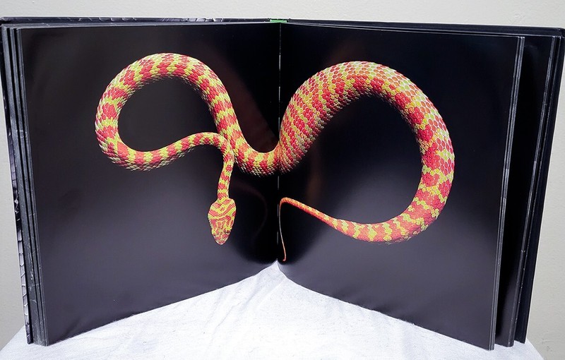*SIGNED* Mark Laita Serpentine 1st Edition HC Book 2013 Soft White Underbelly gallery