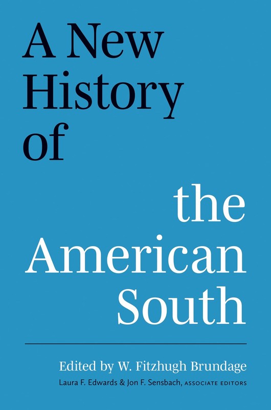 A New History of the American South (A Ferris and Ferris Book)