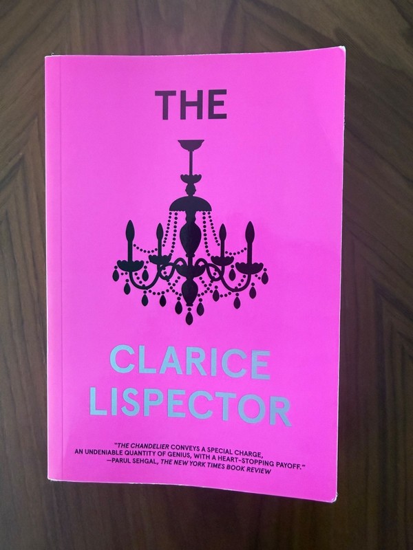 The Chandelier by Clarice Lispector (2019, Trade Paperback) ISBN 9780811228718