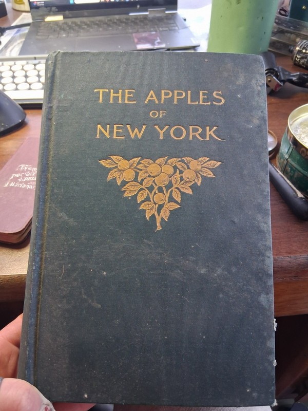 THE APPLES OF NEW YORK Vol 1. ~ S. A. Beach HC 1905 1st Edition ILLUSTRATED -XX