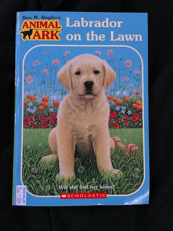 Animal Ark Hauntings Ser.: Labrador on the Lawn by Ben M. Baglio/Lucy Daniel