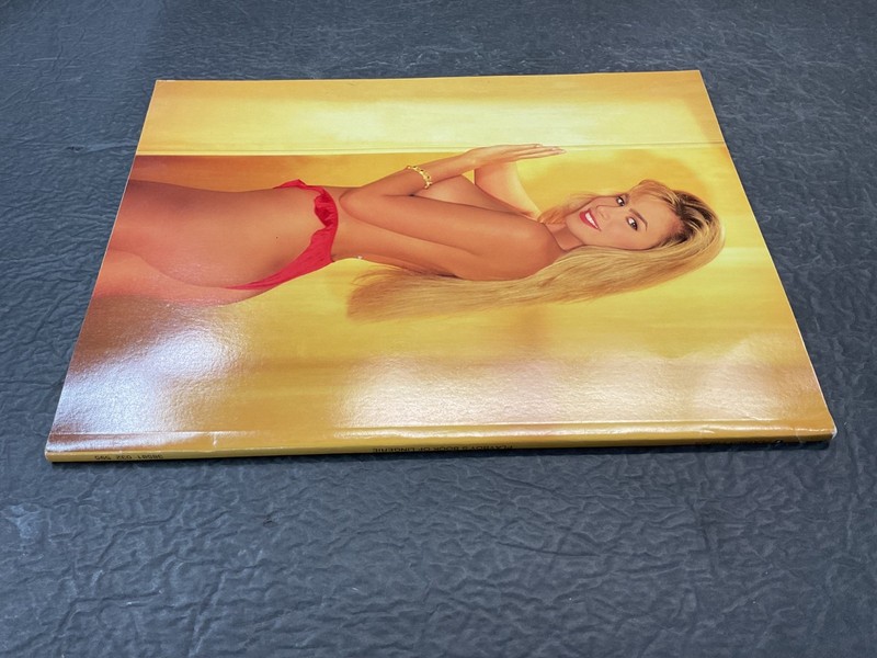 Playboy Press Special Edition Magazine Playboy's Book of Lingerie Mar/Apr 1992 gallery