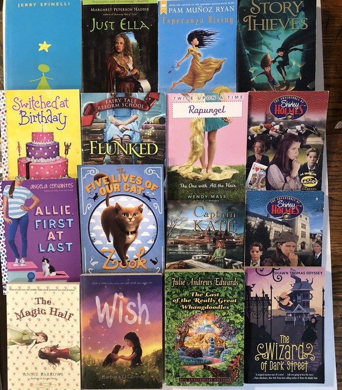 Lot Of 16 Chapter Books for 5th Grade Classroom RL5 GIRLS Interest