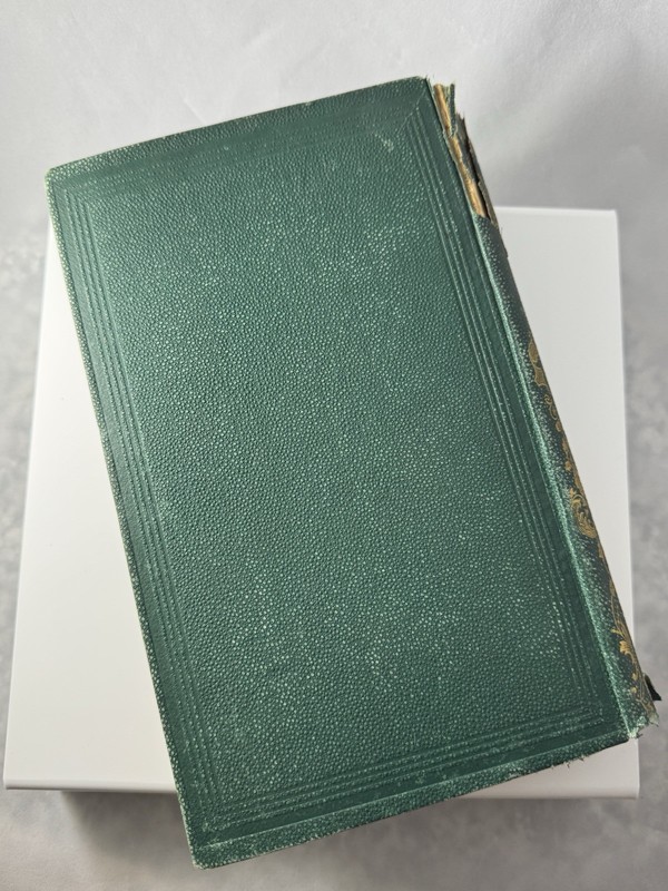 1874 Wonders of the World Illustrated Antique Book Lee & Shepard Victorian gallery