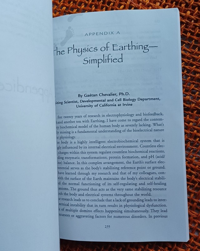 Earthing Martin Zucker Stephen Sinatra Clinton Ober 2014 SC Nautilus Book Award gallery