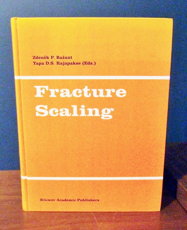 Fracture Scaling Mechanics Materials Engineering Workshop Papers Book 1999