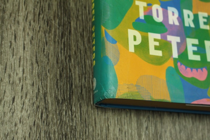 Detransition, Baby: A Novel - Hardcover By Peters, Torrey - GOOD gallery