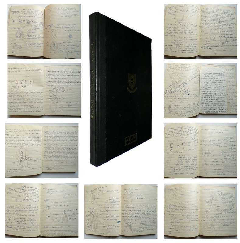 1950s MANUSCRIPT BOOK Entomology INSECTS 188 Handwritten Pages Science Zoology