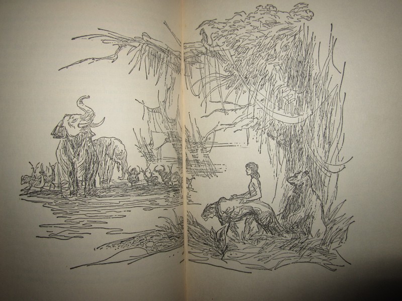 Vtg HC, All the Mowgli Stories by Rudyard Kipling, ill. Richard M. Powers, 1956 gallery