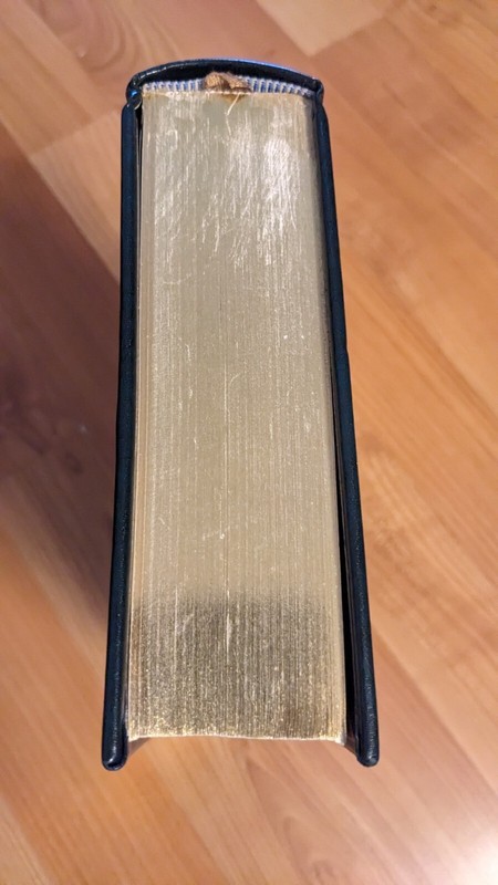 Grimm’s Fairy Tales - Arthur Rackham Barnes Noble Leather Bound Classics 2009 gallery