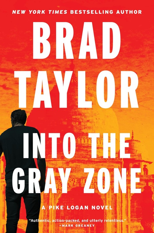 Into the Gray Zone: A Heart-Pounding Military Thriller with a Gripping Polit…