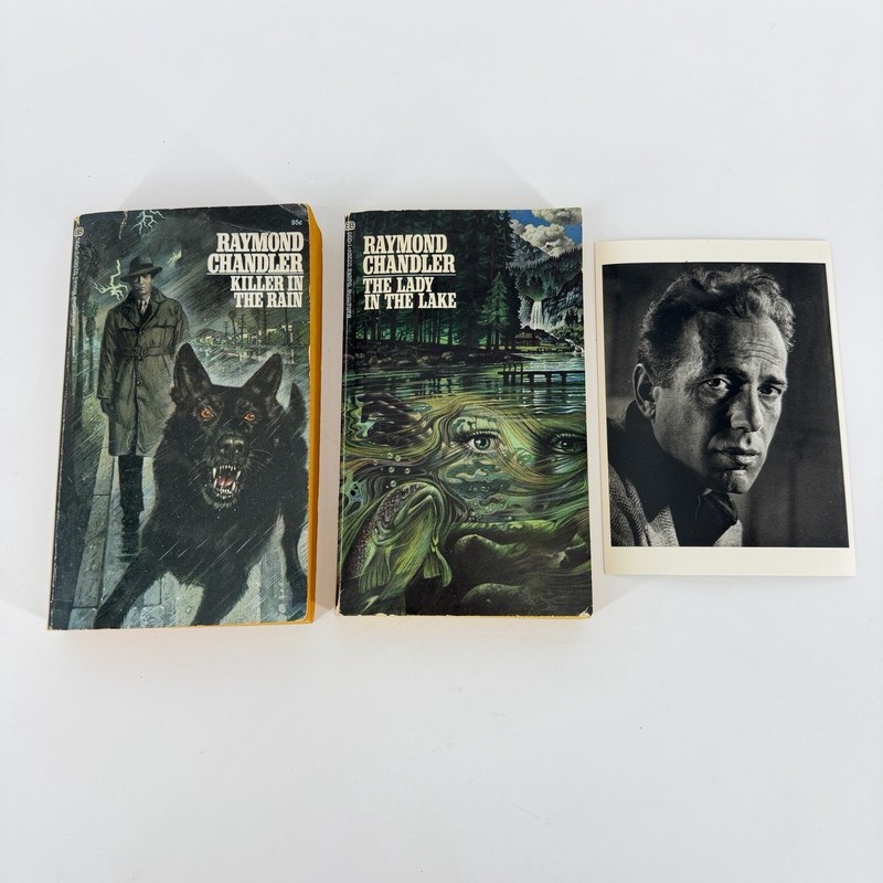 Killer In The Rain, Photo,The Lady in the Lake Raymond Chandler 1973 Ballantine