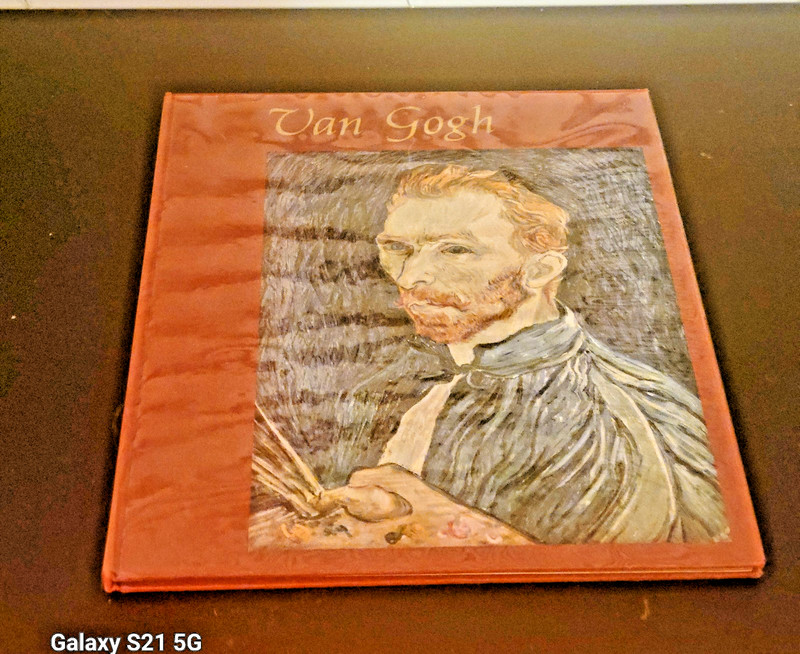VTG 1961 Van Gogh Meyer Schapiro Harry Abrams HC Mylar Cover EXCELLENT