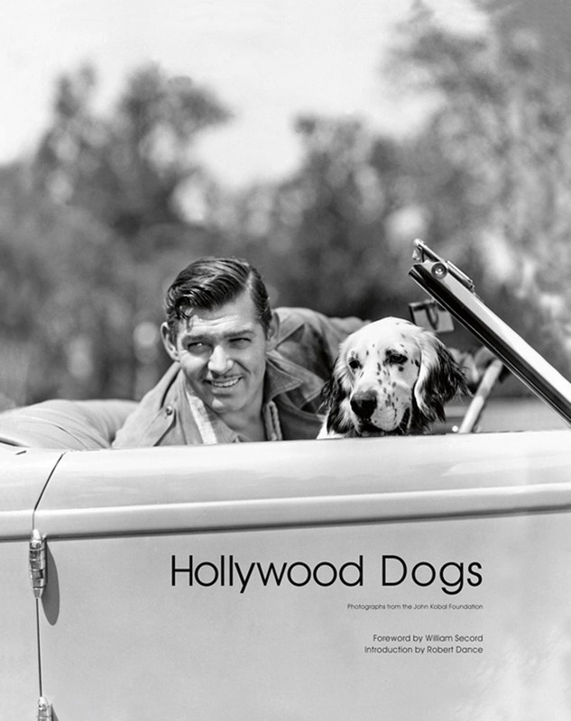 Hollywood Dogs: Pictures from the John Kobal Foundation