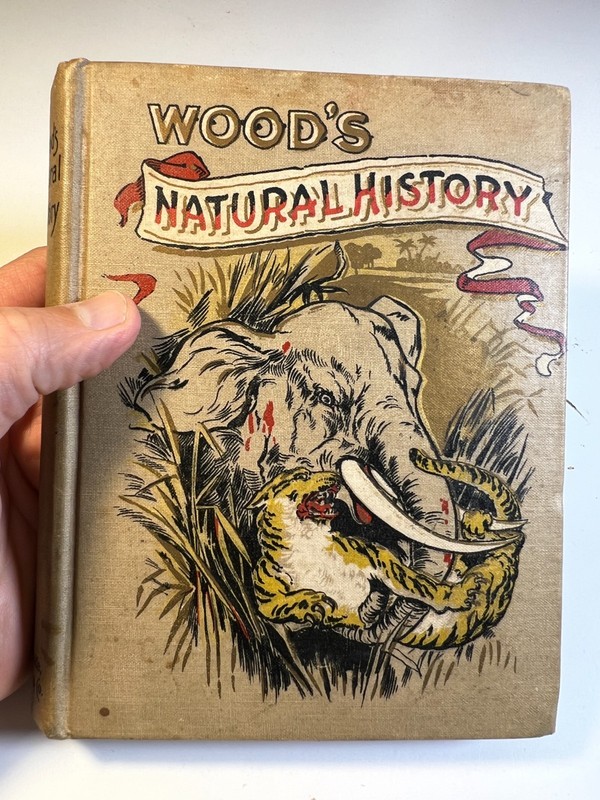 Antique Victorian Book Ornate Decorative Wood's Natural History 1898 gallery
