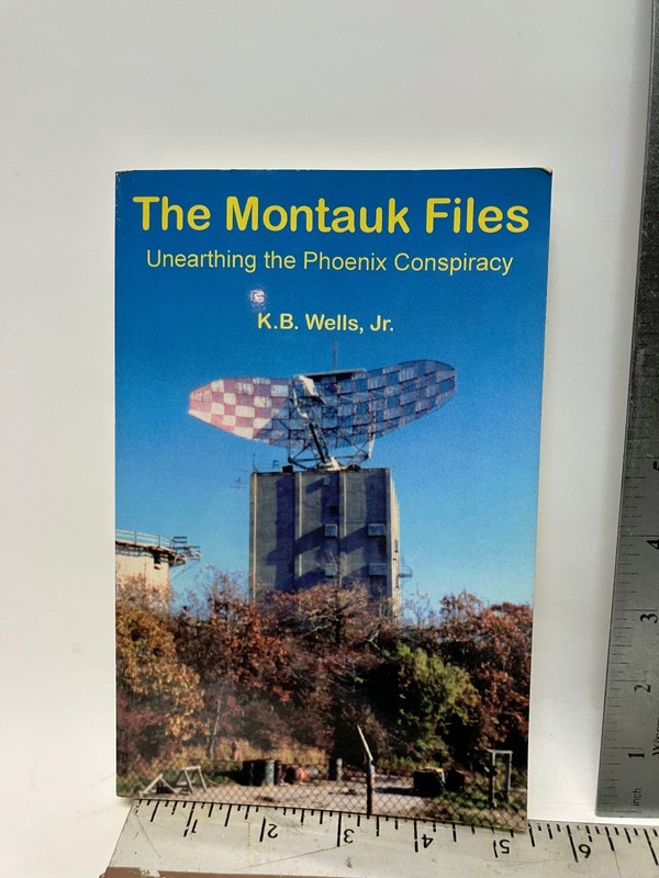 The Montauk Files k.b.wells jr free shipping