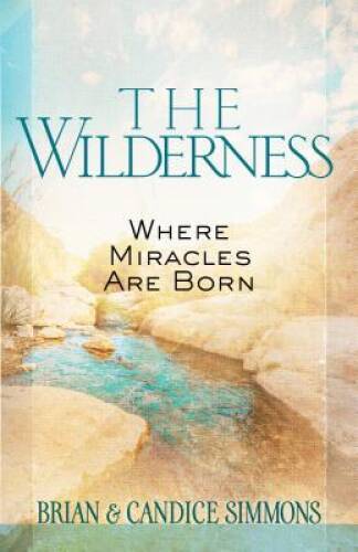 The Wilderness: Where Miracles Are Born – Paperback By Simmons, Brian – GOOD