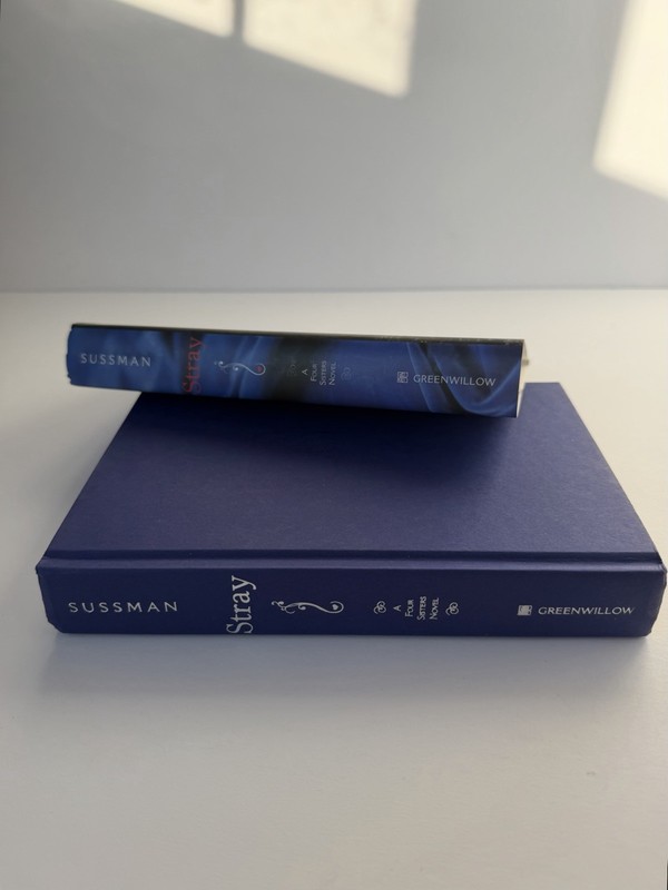 Stray by Elissa Sussman Hardcover Dust Jacket Greenwillow YA Fantasy Novel gallery
