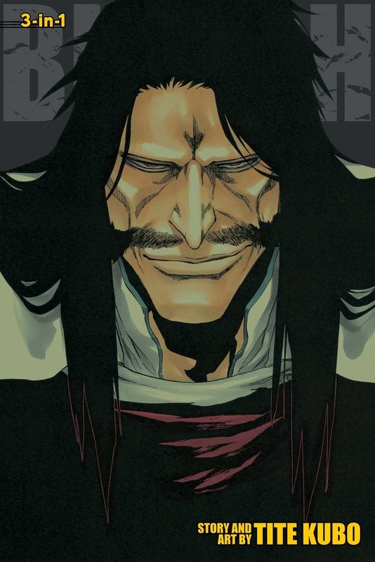 Bleach (3-in-1 Edition), Vol. 19 by Kubo