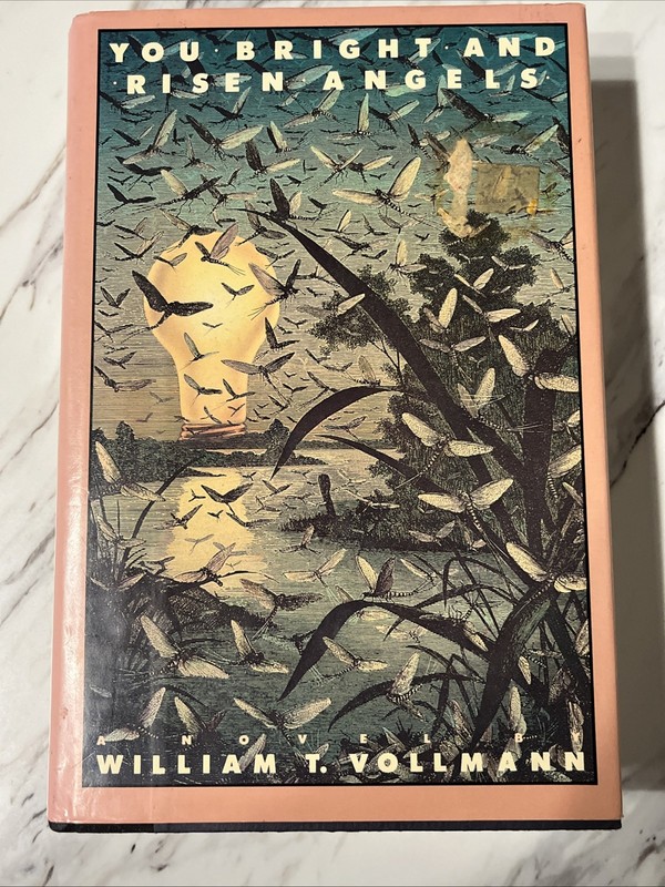 William T Vollmann You Bright and Risen Angels 1st US Edition 1987 Hardcover