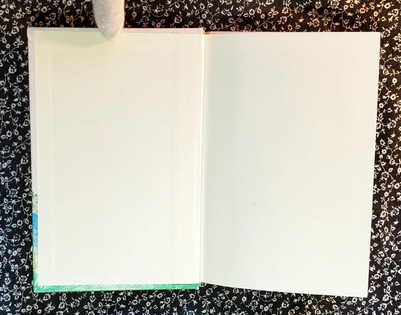 The Wizard Children of Finn, Mary Tannen, 1981, First Edition, Hardcover gallery