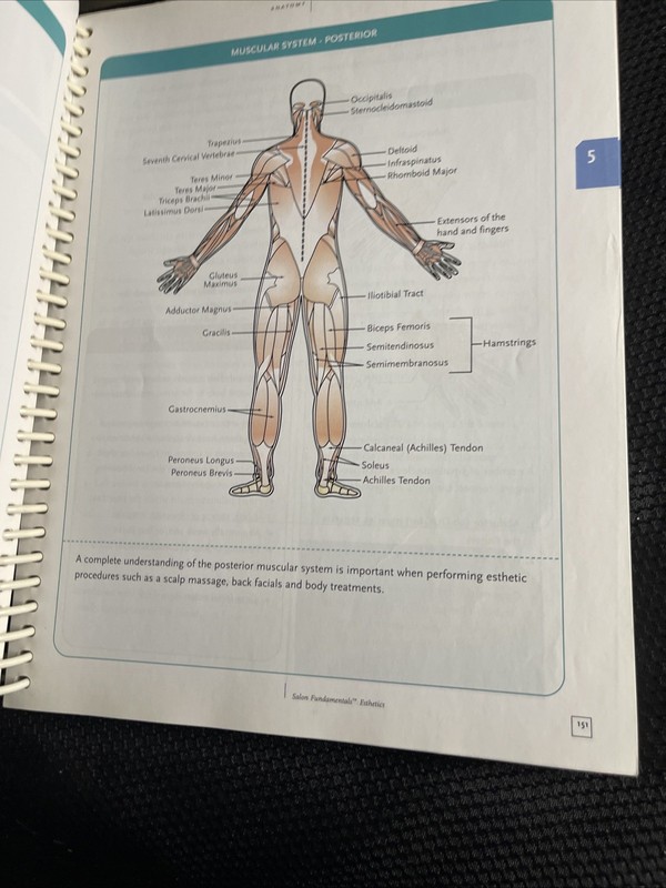 Salon Fundamentals Esthetics A Resource for Your Skin Care Career 2007 2nd Ed. gallery