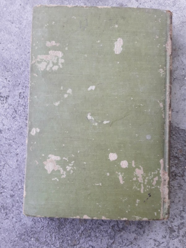 The Bobbsey Twins by Laura Lee Hope Vintage Hardcover 1904 Grosset & Dunlap gallery