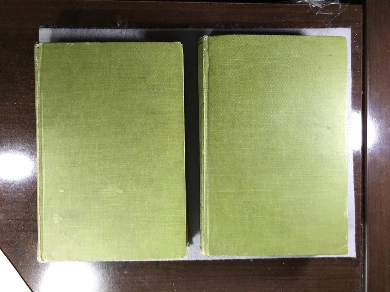 Antique Lot of Two Bobbsey Twin Books gallery