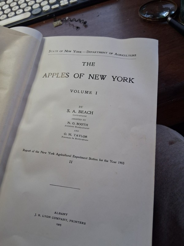THE APPLES OF NEW YORK Vol 1. ~ S. A. Beach HC 1905 1st Edition ILLUSTRATED -XX gallery