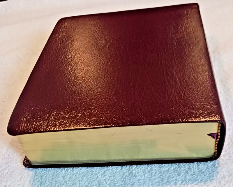 Dake Annotated Reference Bible-KJV-Compact, Burgundy Bonded Leather gallery