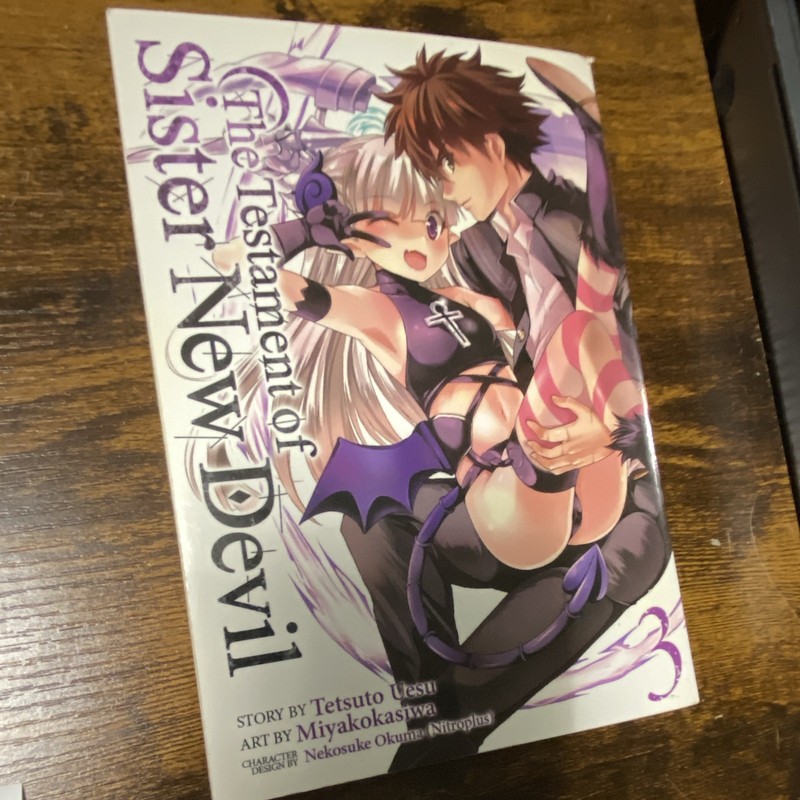 The Testament of Sister New Devil Vol. 3 Manga Paperback (English)