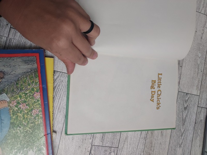 I Can Read Bks.: Little Chick's Big Day by Mary D. Kwitz (1981, Hardcover) gallery