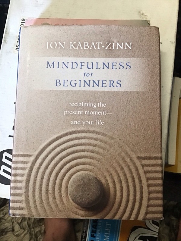 Jon KaBat-Zinn A Life at Work: The Joy of Discovering What You Were Born to Do