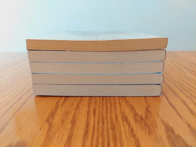 LOT of 5 Adventures of the Northwoods Series, 2, 6, 7, 8, 10 by Lois W Johnson gallery