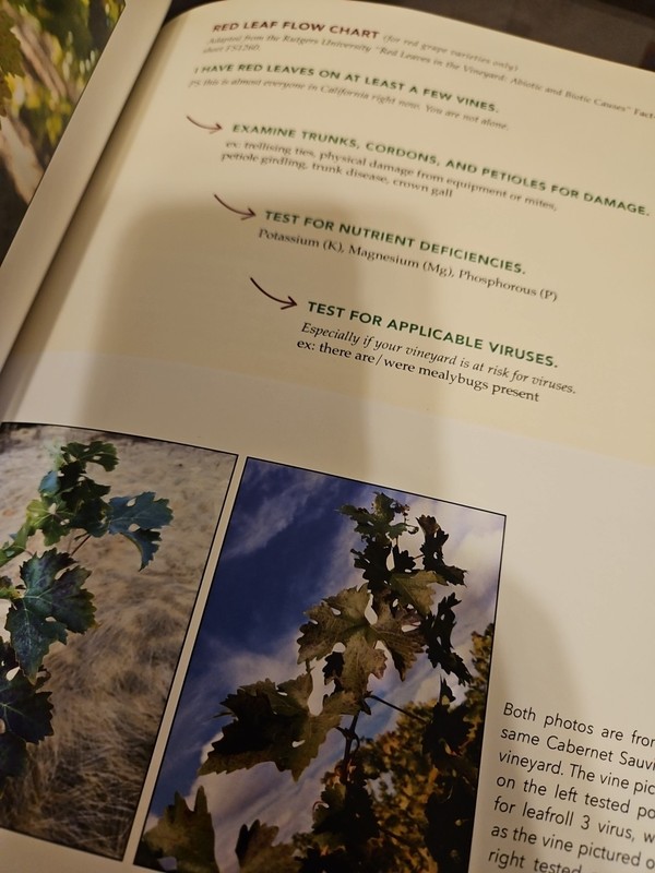 Agricultural Winegrape Book 137 Pages gallery