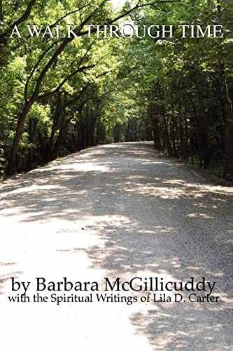A Walk Through Time – Paperback, by McGillicuddy Barbara – Very Good