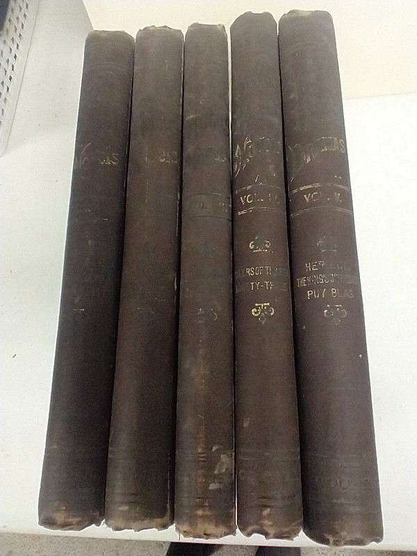 NOVELS OF VICTOR HUGO 1890 5 VOLUME BOOK SET ILLUSTRATED ENGRAVINGS P.F. COLLIER