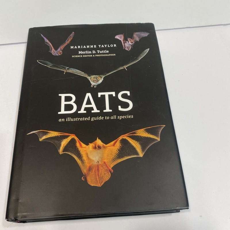 Bats: An illustrated guide to all species by Marianne Taylor (English) Hardcover