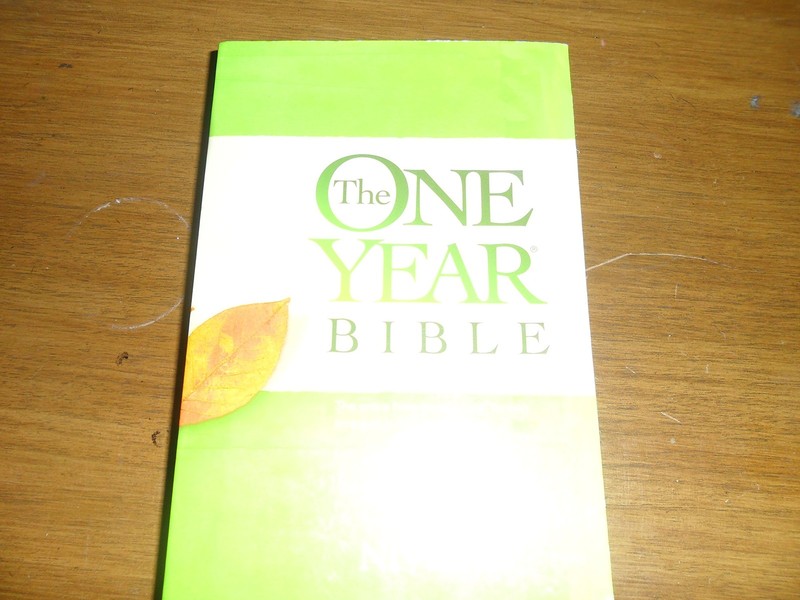The One Year Bible NIV Imitation Leather Bound Cover