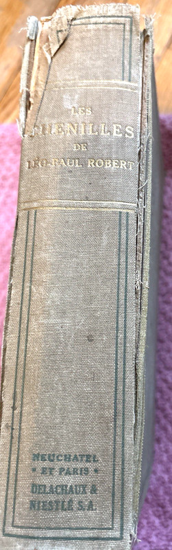 1931 Les Chenilles Léo-Paul Robert Caterpillars Color Plates French Natural gallery